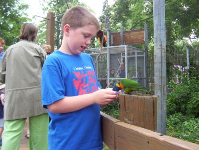 Connor feeding a bird